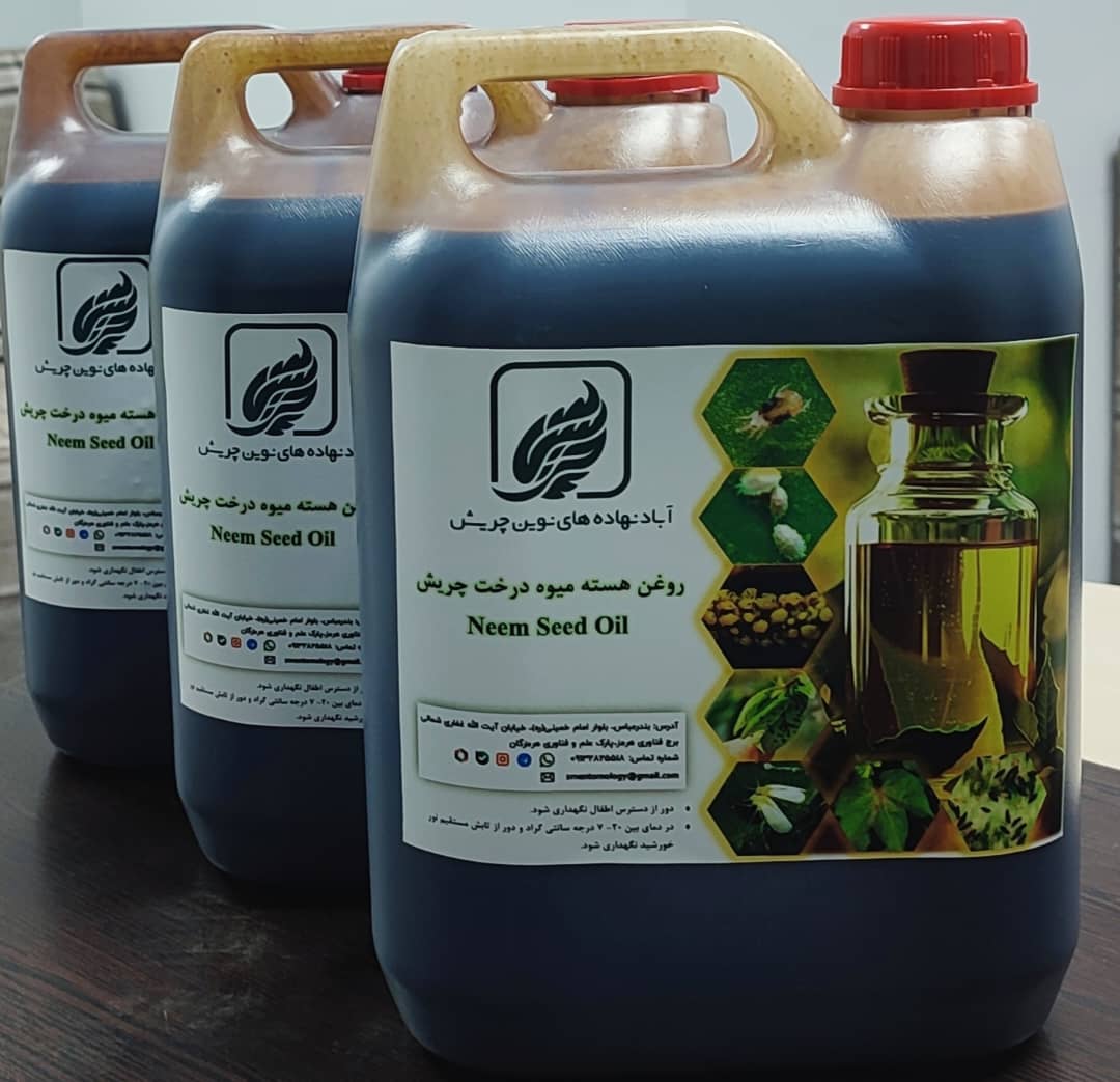 روغن هسته میوه درخت چریش